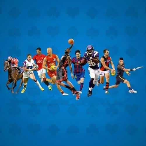 PALDO77 sports betting login dashboard showing live match updates and odds interface